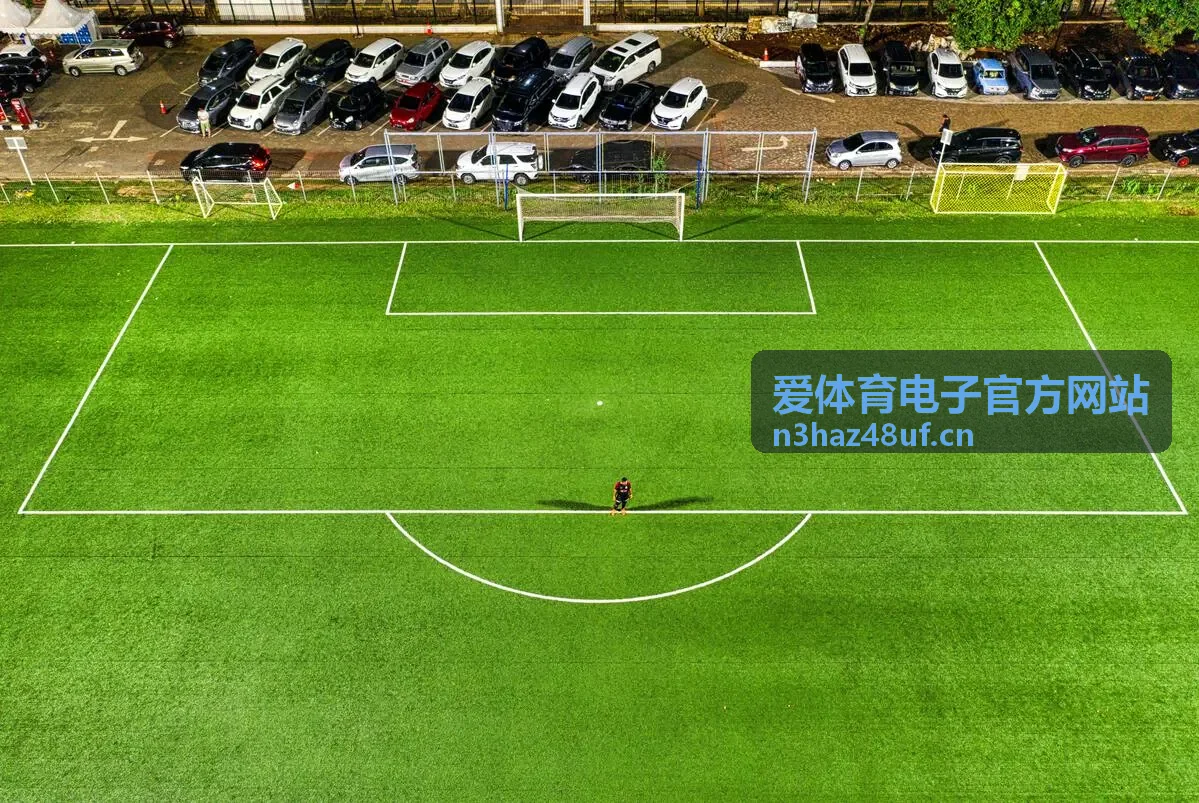 爱体育电子官方网站客户端首次启动与数据同步示意